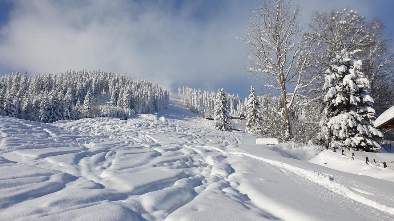 Penzion Srub Panorama Pec pod Sněžkou Zewnętrze zdjęcie